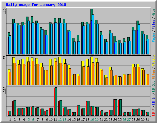 Daily usage for January 2013