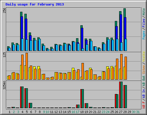 Daily usage for February 2013
