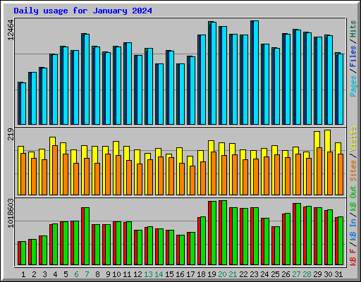 Daily usage for January 2024