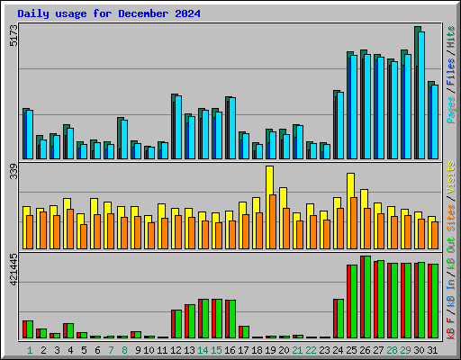Daily usage for December 2024