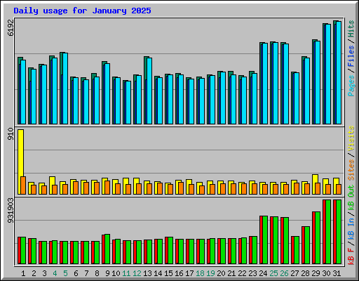 Daily usage for January 2025