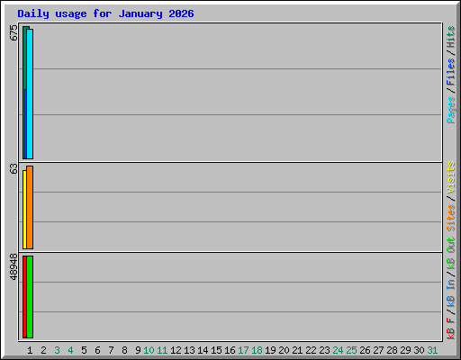 Daily usage for January 2026