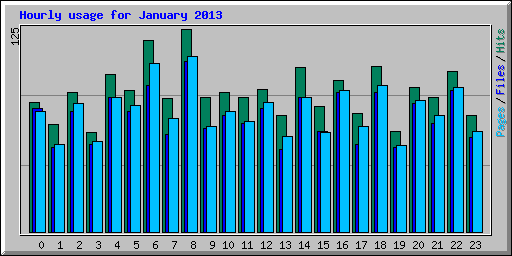 Hourly usage for January 2013