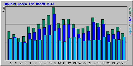 Hourly usage for March 2013