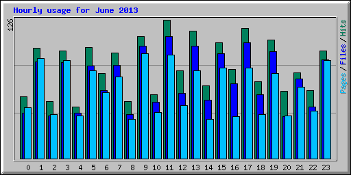 Hourly usage for June 2013