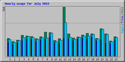 Hourly usage for July 2015