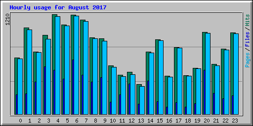 Hourly usage for August 2017