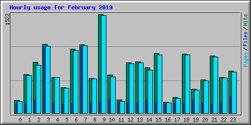 Hourly usage for February 2019