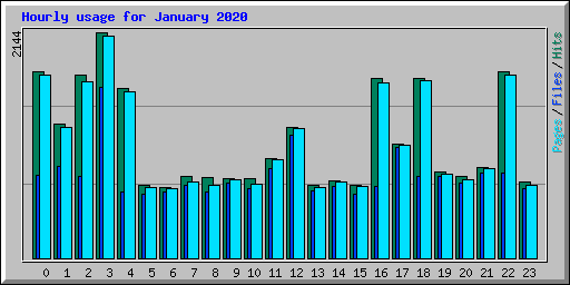 Hourly usage for January 2020