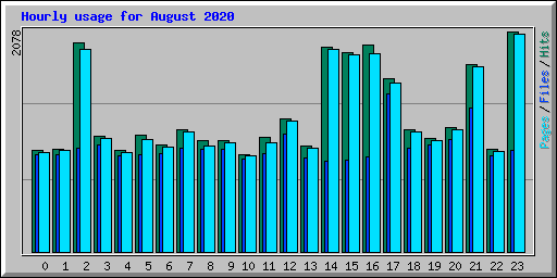 Hourly usage for August 2020