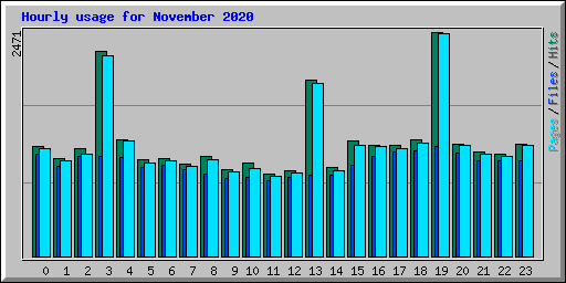 Hourly usage for November 2020