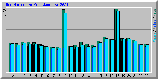 Hourly usage for January 2021