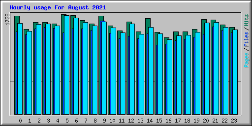 Hourly usage for August 2021