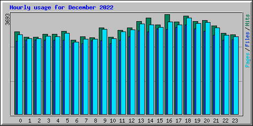 Hourly usage for December 2022
