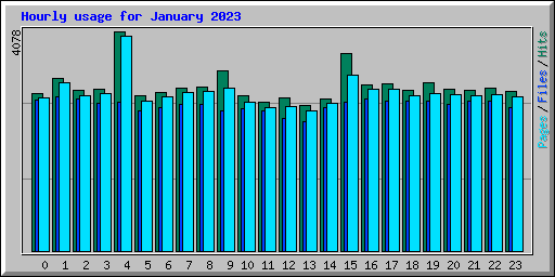 Hourly usage for January 2023