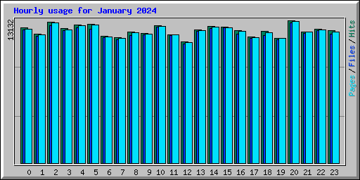 Hourly usage for January 2024