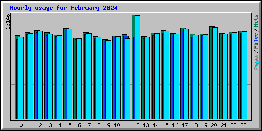 Hourly usage for February 2024