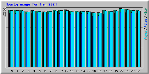 Hourly usage for May 2024