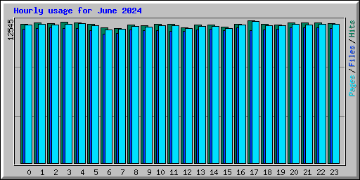 Hourly usage for June 2024