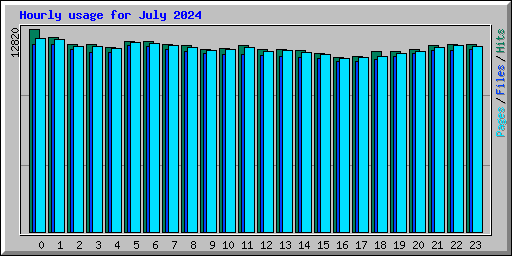 Hourly usage for July 2024