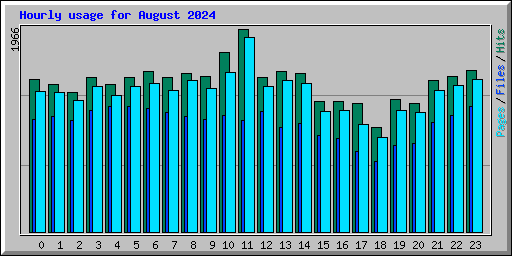 Hourly usage for August 2024