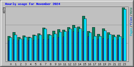 Hourly usage for November 2024