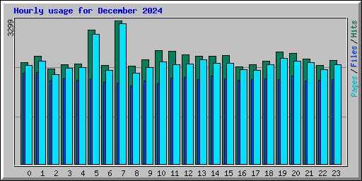 Hourly usage for December 2024
