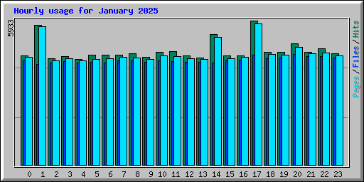 Hourly usage for January 2025