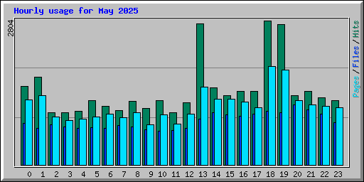 Hourly usage for May 2025