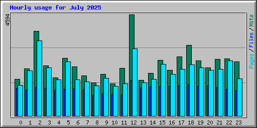 Hourly usage for July 2025