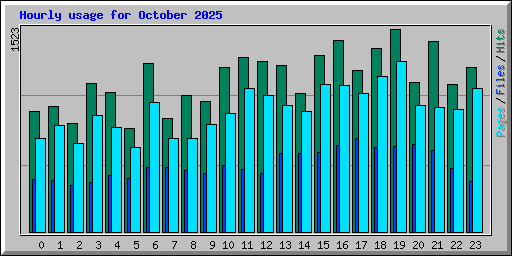 Hourly usage for October 2025
