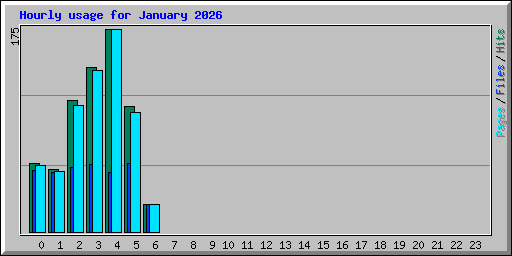 Hourly usage for January 2026