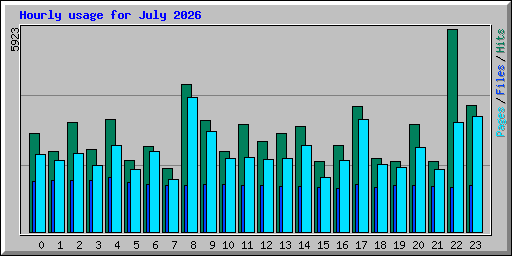 Hourly usage for July 2026